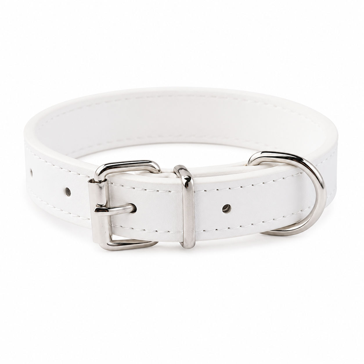 Everyday Dog Collar