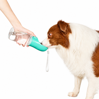Portable Pet Water Bottle