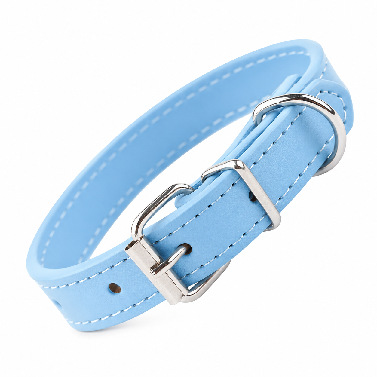 Everyday Dog Collar