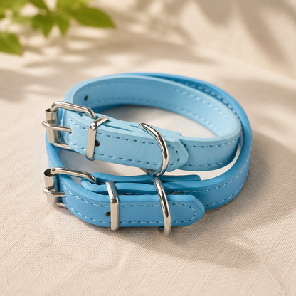 Everyday Dog Collar