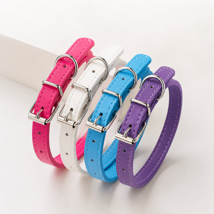 Everyday Dog Collar