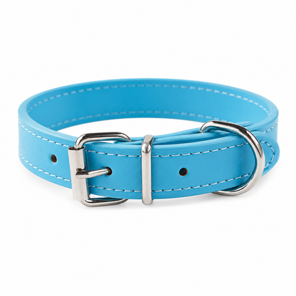 Everyday Dog Collar