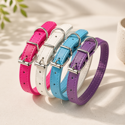 Everyday Dog Collar