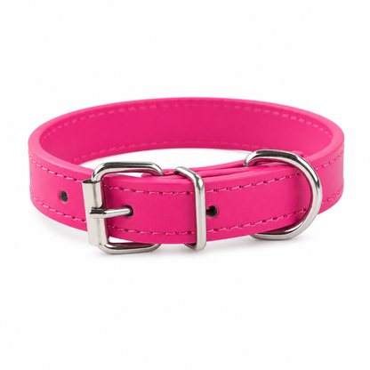 Everyday Dog Collar