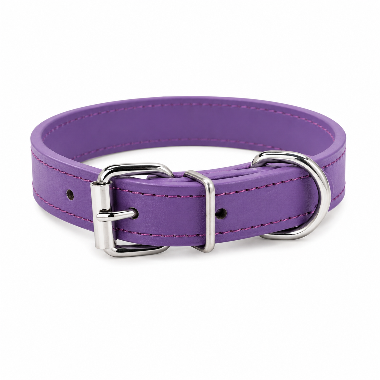 Everyday Dog Collar