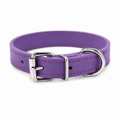 Everyday Dog Collar
