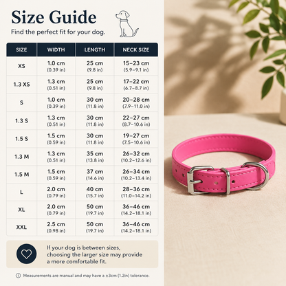 Everyday Dog Collar