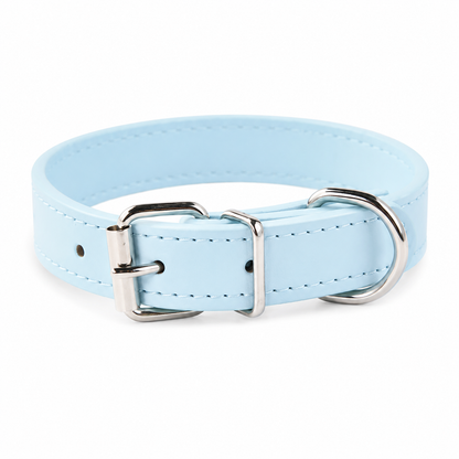 Everyday Dog Collar