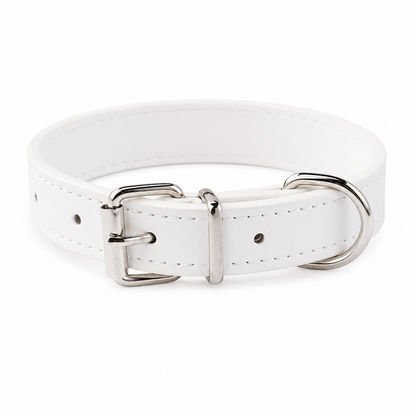 Everyday Dog Collar